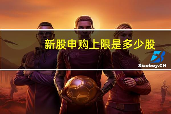 新股申购上限是多少股