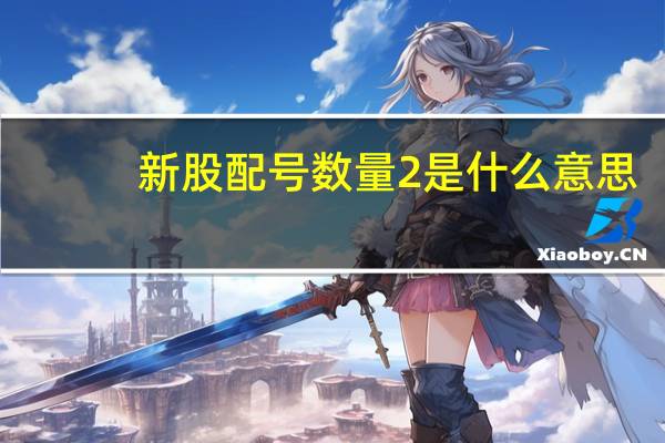 新股配号数量2是什么意思