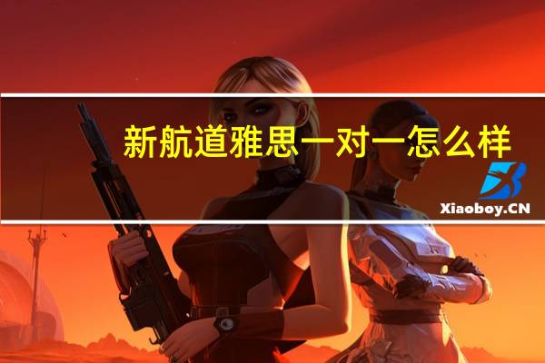 新航道雅思一对一怎么样
