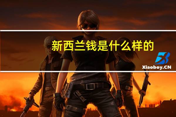新西兰钱是什么样的