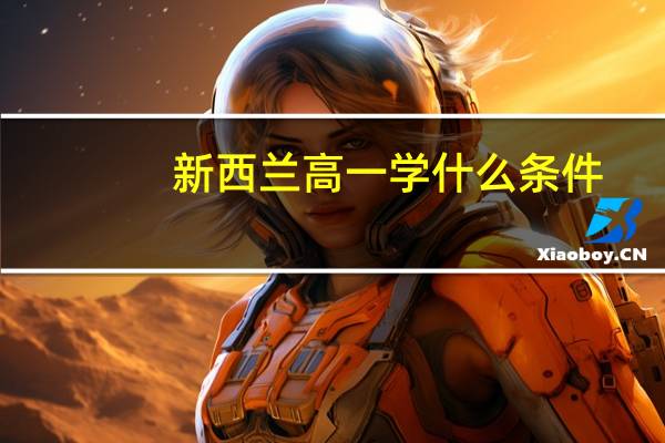 新西兰高一学什么条件