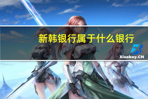 新韩银行属于什么银行