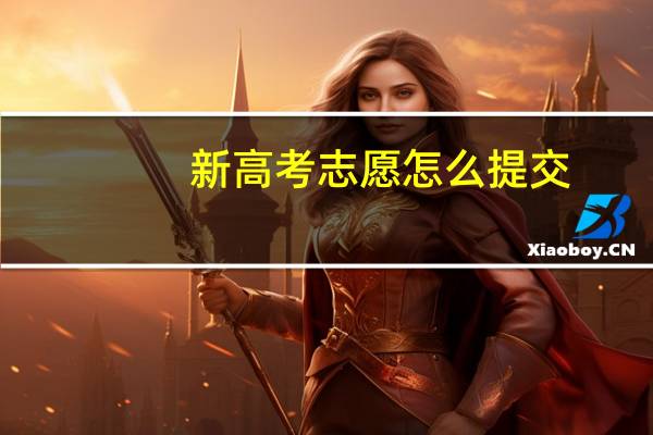 新高考志愿怎么提交