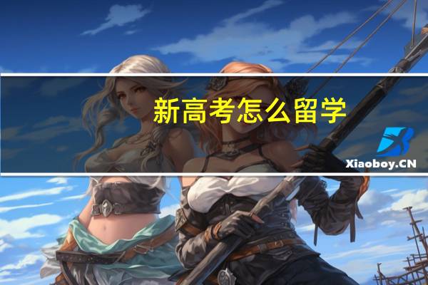 新高考怎么留学