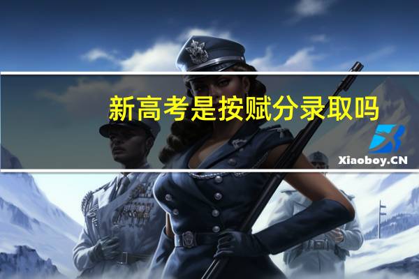 新高考是按赋分录取吗