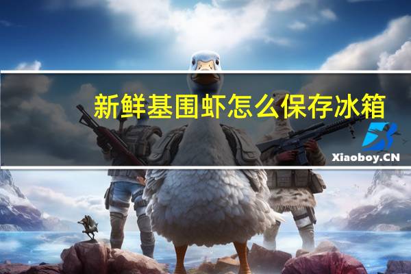 新鲜基围虾怎么保存冰箱