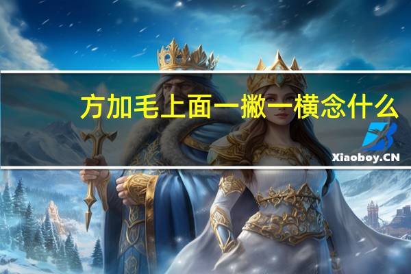 方加毛上面一撇一横念什么