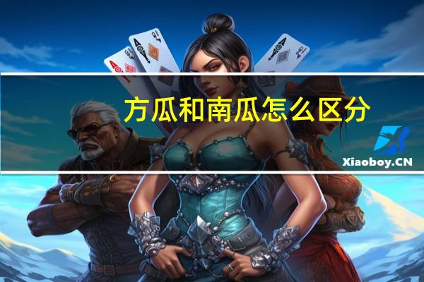 方瓜和南瓜怎么区分