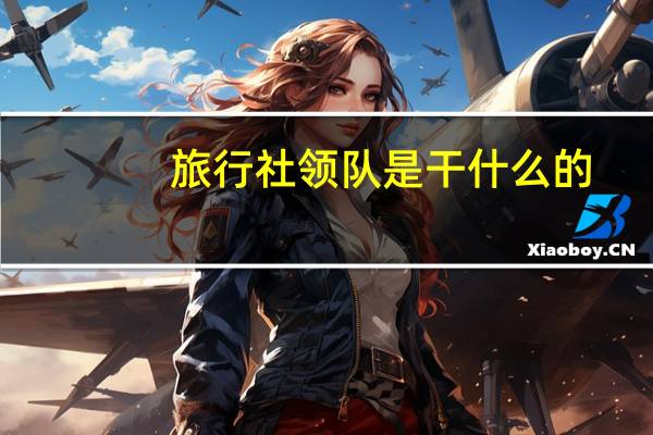 旅行社领队是干什么的