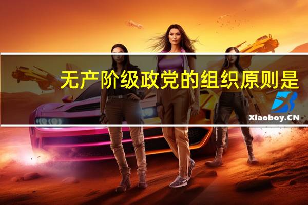 无产阶级政党的组织原则是