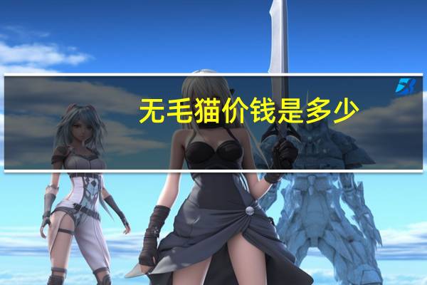 无毛猫价钱是多少