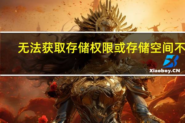 无法获取存储权限或存储空间不足