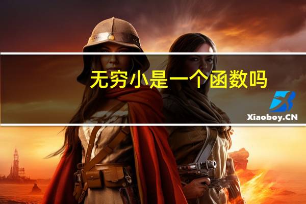 无穷小是一个函数吗