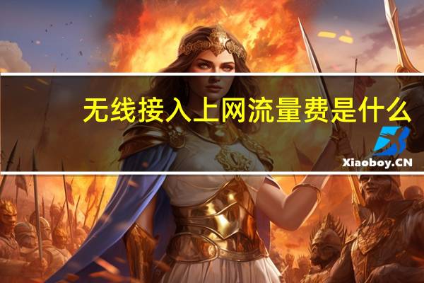 无线接入上网流量费是什么