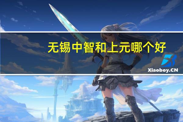 无锡中智和上元哪个好