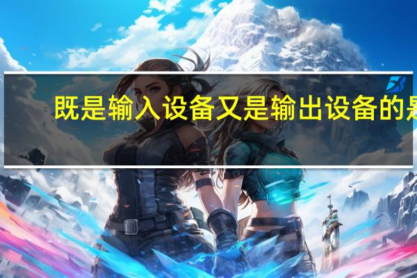 既是输入设备又是输出设备的是