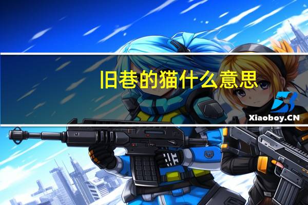 旧巷的猫什么意思