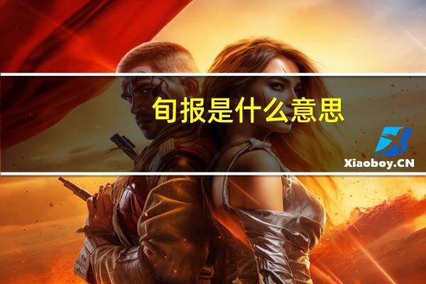 旬报是什么意思