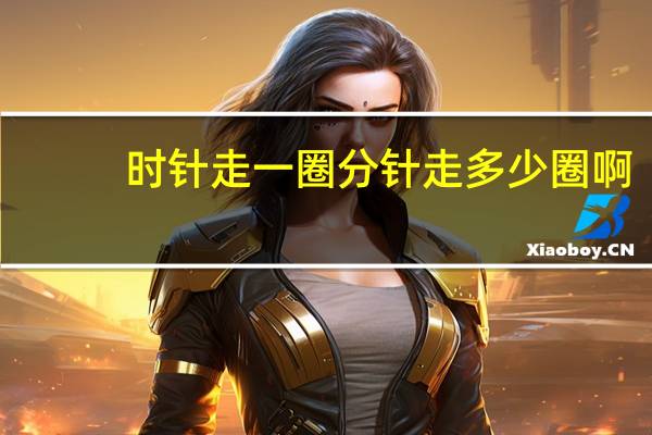 时针走一圈分针走多少圈啊