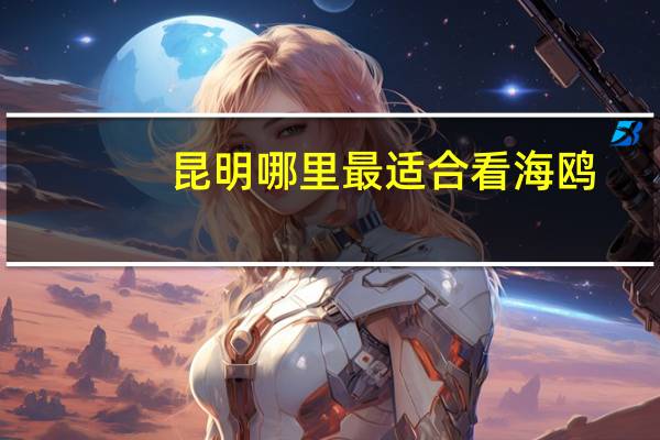 昆明哪里最适合看海鸥