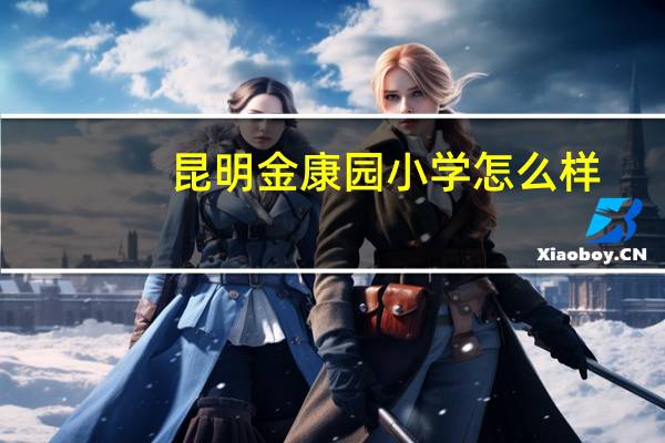 昆明金康园小学怎么样