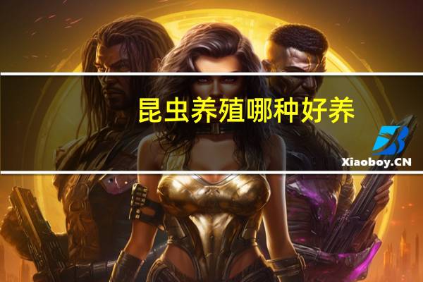 昆虫养殖哪种好养