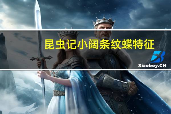 昆虫记小阔条纹蝶特征