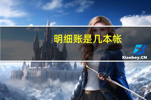 明细账是几本帐