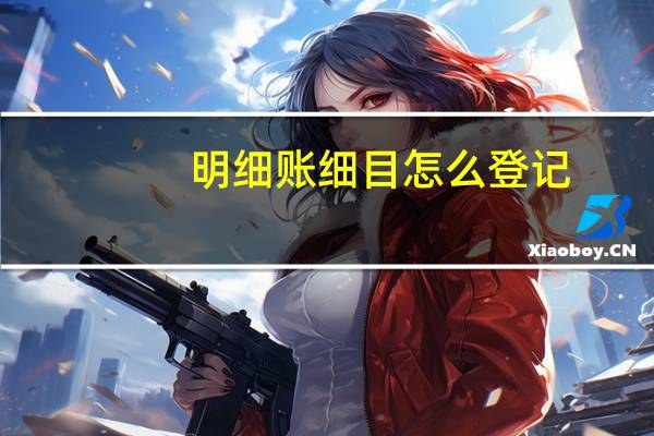明细账细目怎么登记