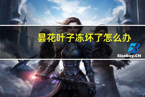 昙花叶子冻坏了怎么办