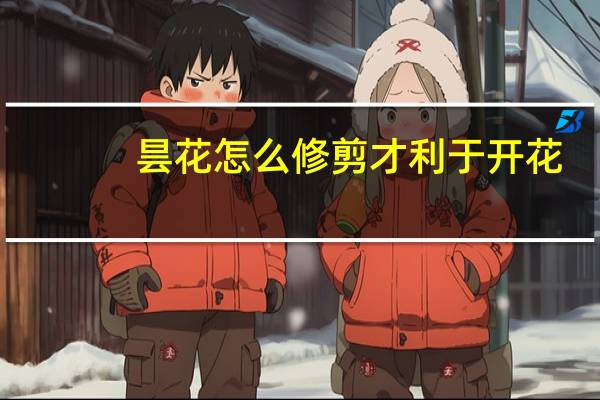昙花怎么修剪才利于开花