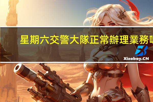 星期六交警大隊正常辦理業務嗎