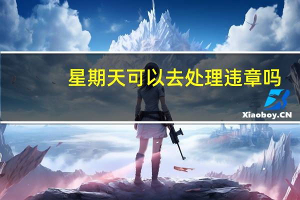 星期天可以去处理违章吗