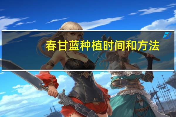 春甘蓝种植时间和方法