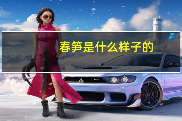 春笋是什么样子的