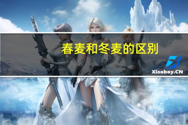 春麦和冬麦的区别