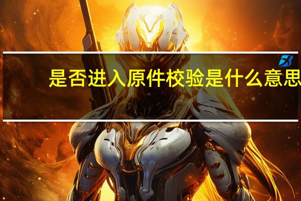 是否进入原件校验是什么意思