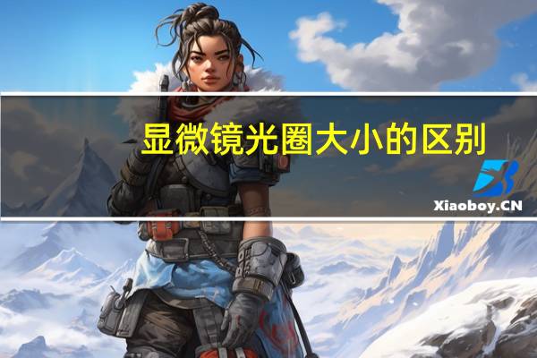 显微镜光圈大小的区别