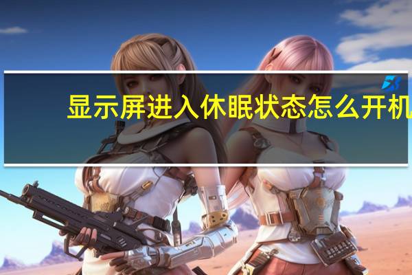 显示屏进入休眠状态怎么开机