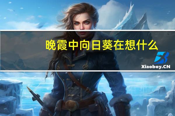 晚霞中向日葵在想什么