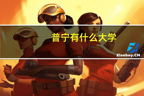 普宁有什么大学