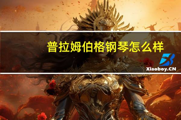 普拉姆伯格钢琴怎么样