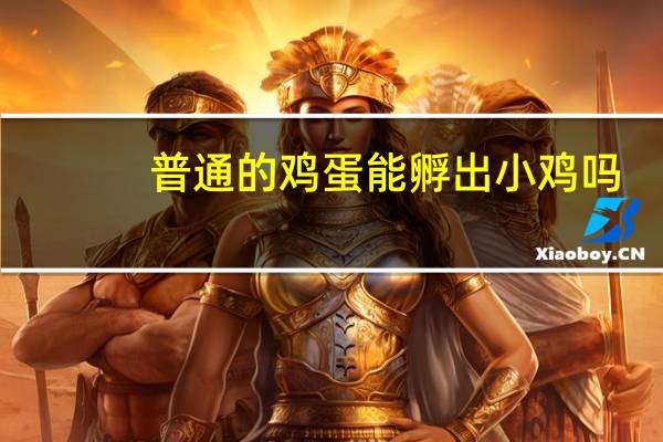 普通的鸡蛋能孵出小鸡吗