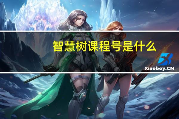 智慧树课程号是什么
