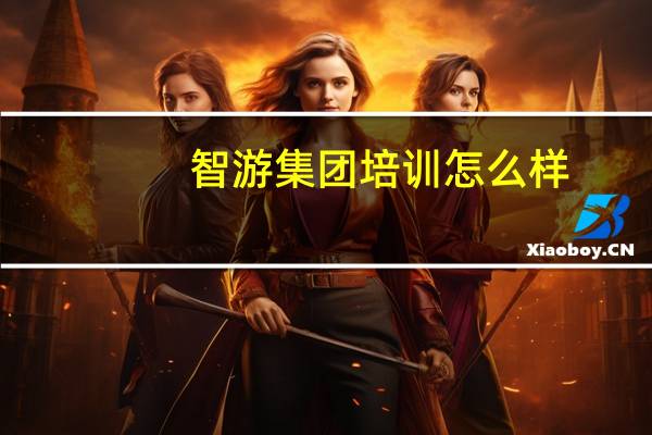 智游集团培训怎么样