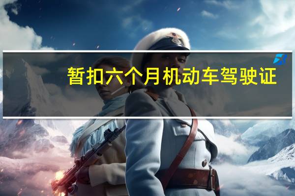 暂扣六个月机动车驾驶证