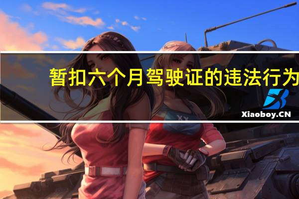 暂扣六个月驾驶证的违法行为