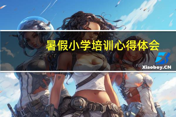 暑假小学培训心得体会