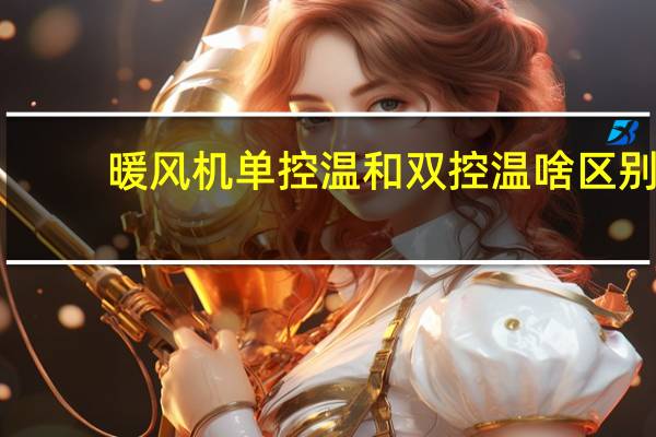 暖风机单控温和双控温啥区别