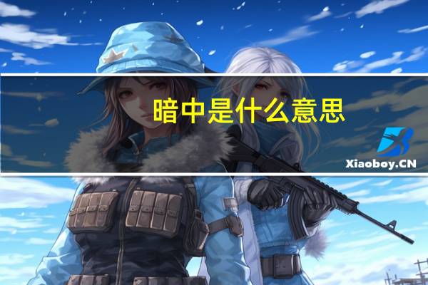 暗中是什么意思